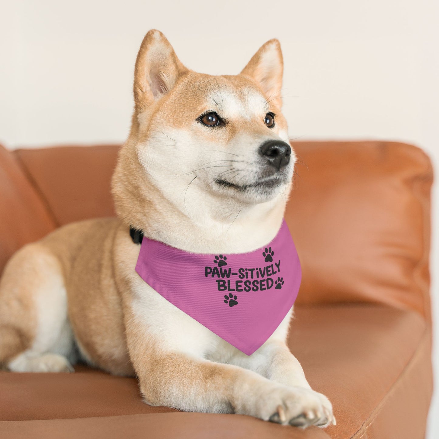 Paw-sitively Blessed Pet Bandana Collar