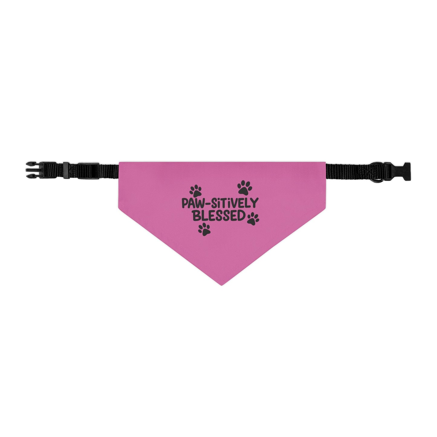 Paw-sitively Blessed Pet Bandana Collar