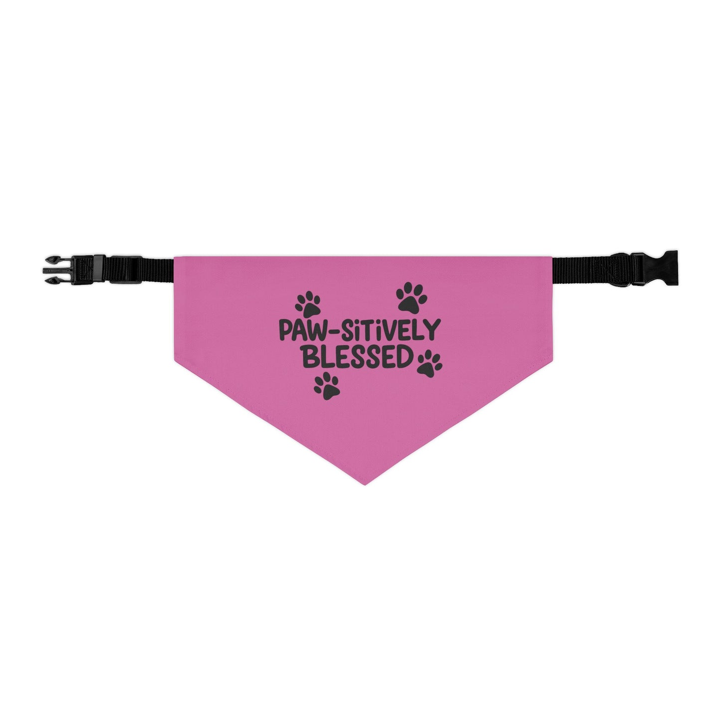 Paw-sitively Blessed Pet Bandana Collar