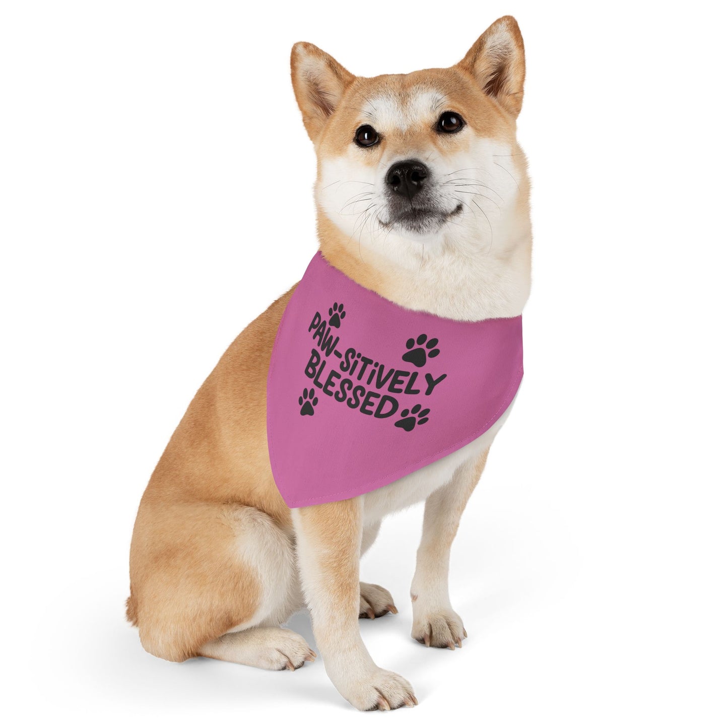 Paw-sitively Blessed Pet Bandana Collar