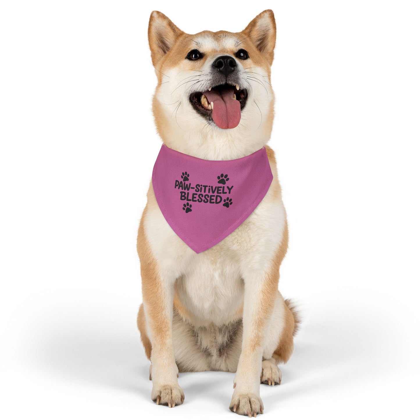 Paw-sitively Blessed Pet Bandana Collar